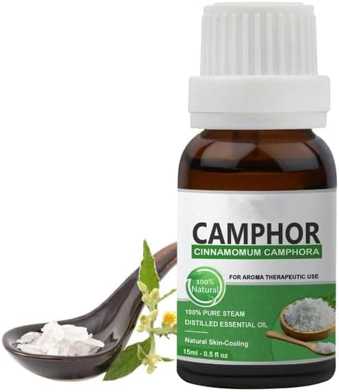 Huile essentielle de camphre (Cinnamomum Camphor)