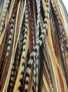 Lot de 5 plumes Sexy Sparkles
