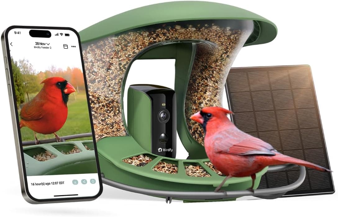 Mangeoire intelligente pour oiseaux avec caméra