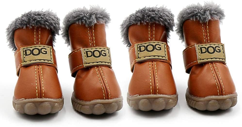 Bottes d’hiver pour petit chien