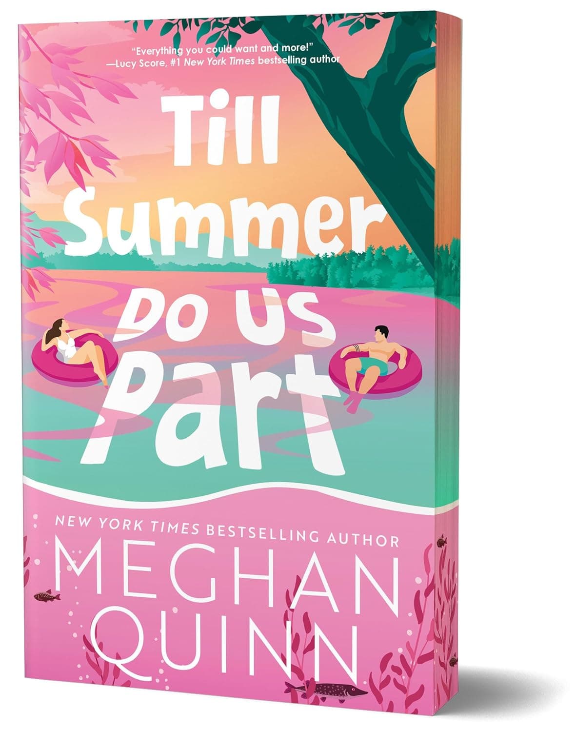 Till Summer Do Us Part de Meghan Quinn