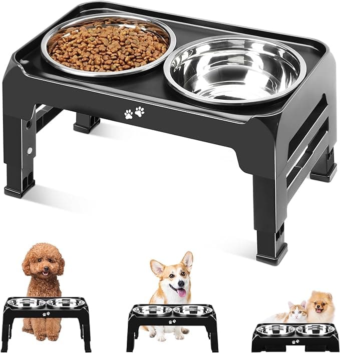 Gamelles surélevées pour chiens