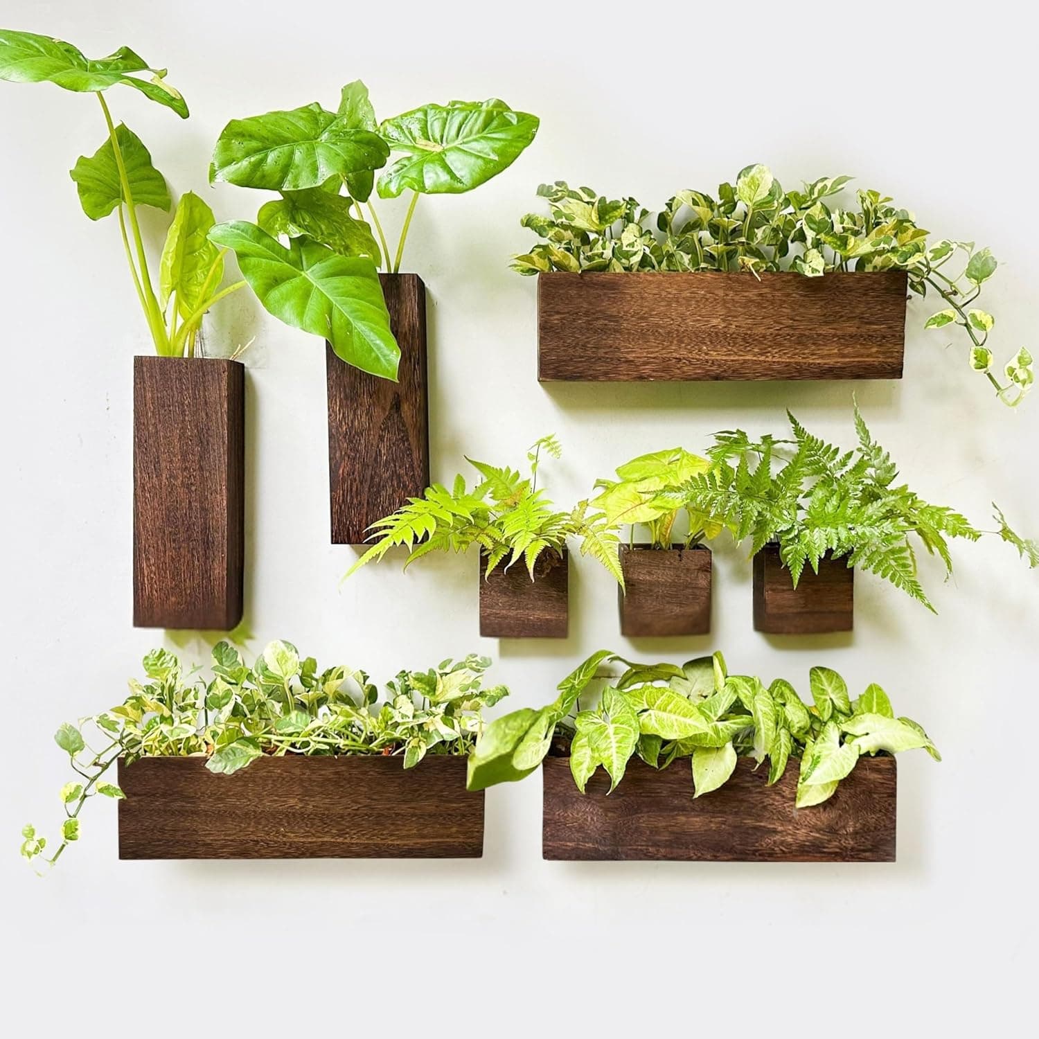Lot de 8 jardinières en bois à suspendre au mur pour fleurs 