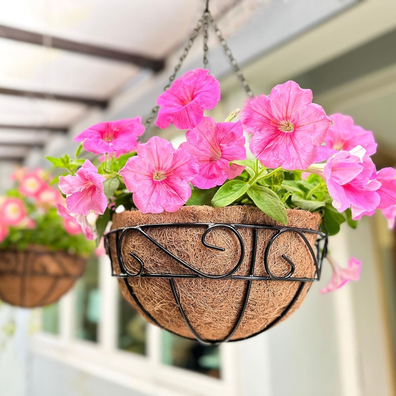 Lot de 6 pots de fleurs à suspendre pour plantes d'extérieur