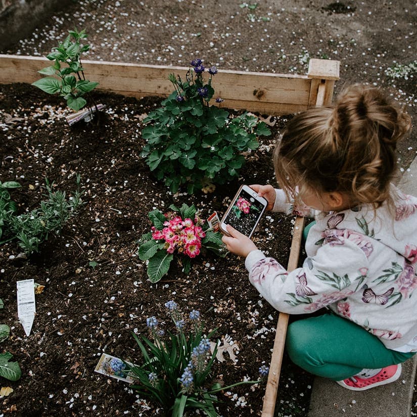 Entretenir ses plates-bandes : 4 astuces estivales
