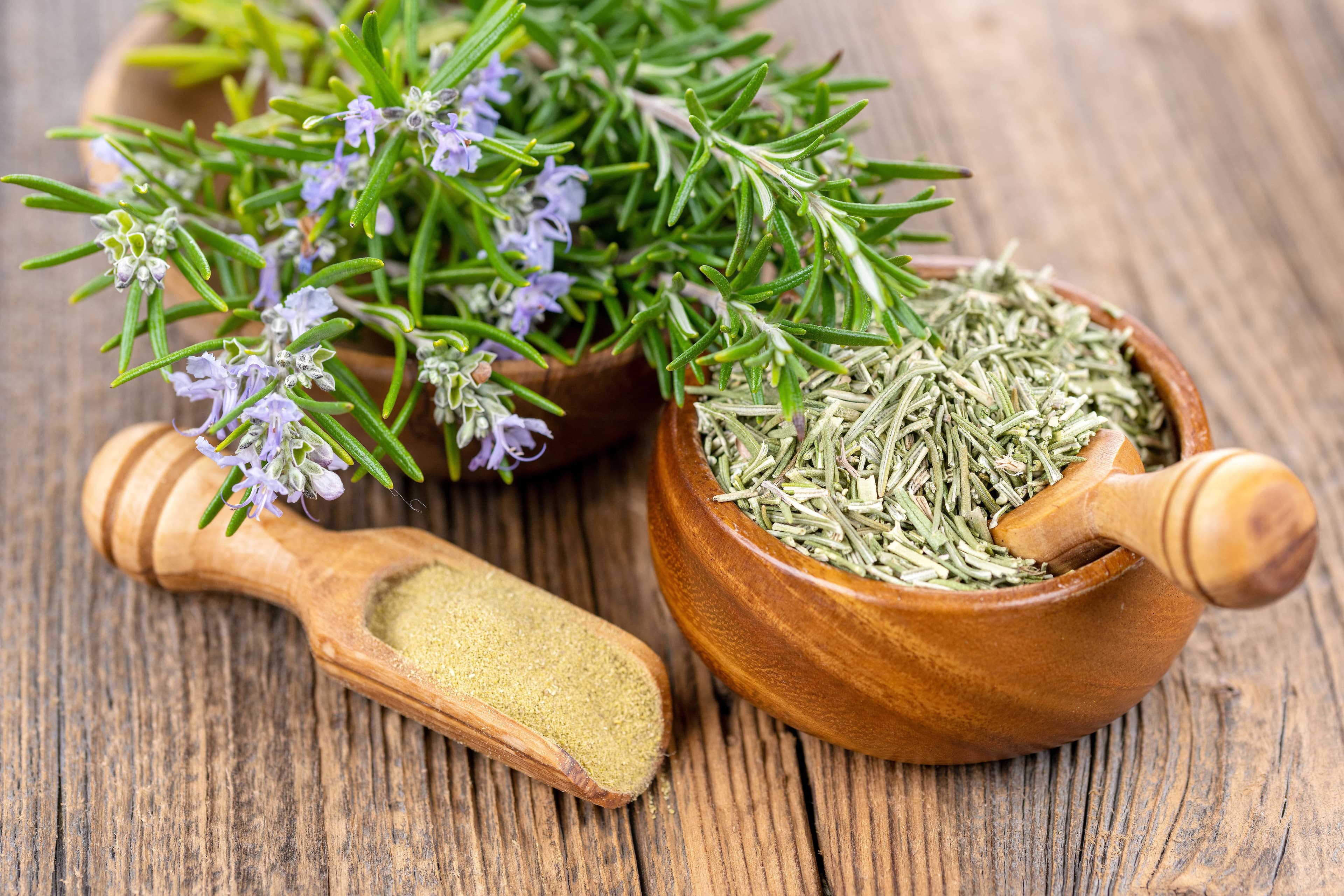 Une cuillerée d'herbes fraîches équivaut à une cuillerée d'herbes séchées dont le parfum est plus puissant.