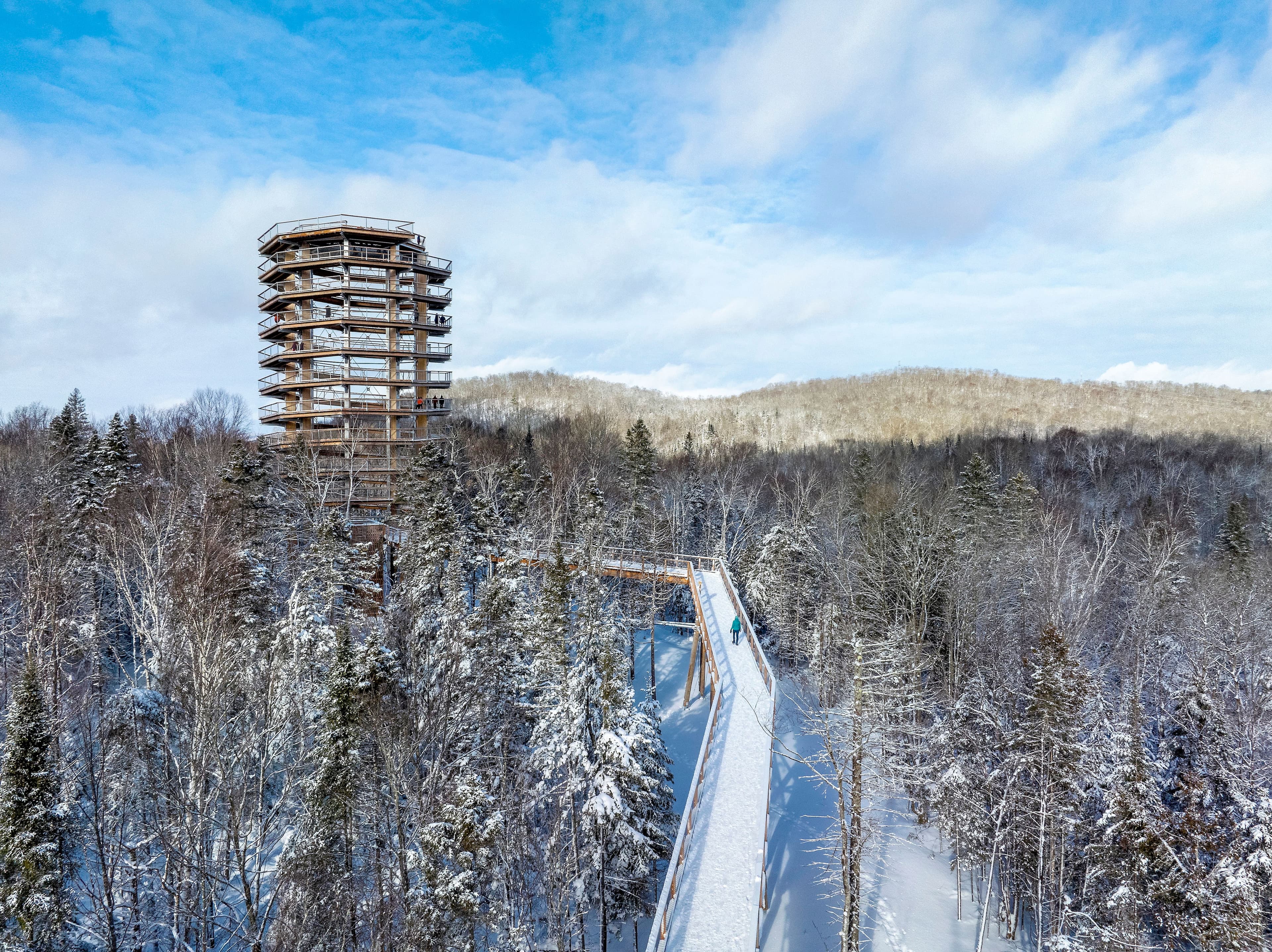 Sur le Sentier des cimes, une passerelle de 730 mètres mène à une tour de 40 mètres de haut.