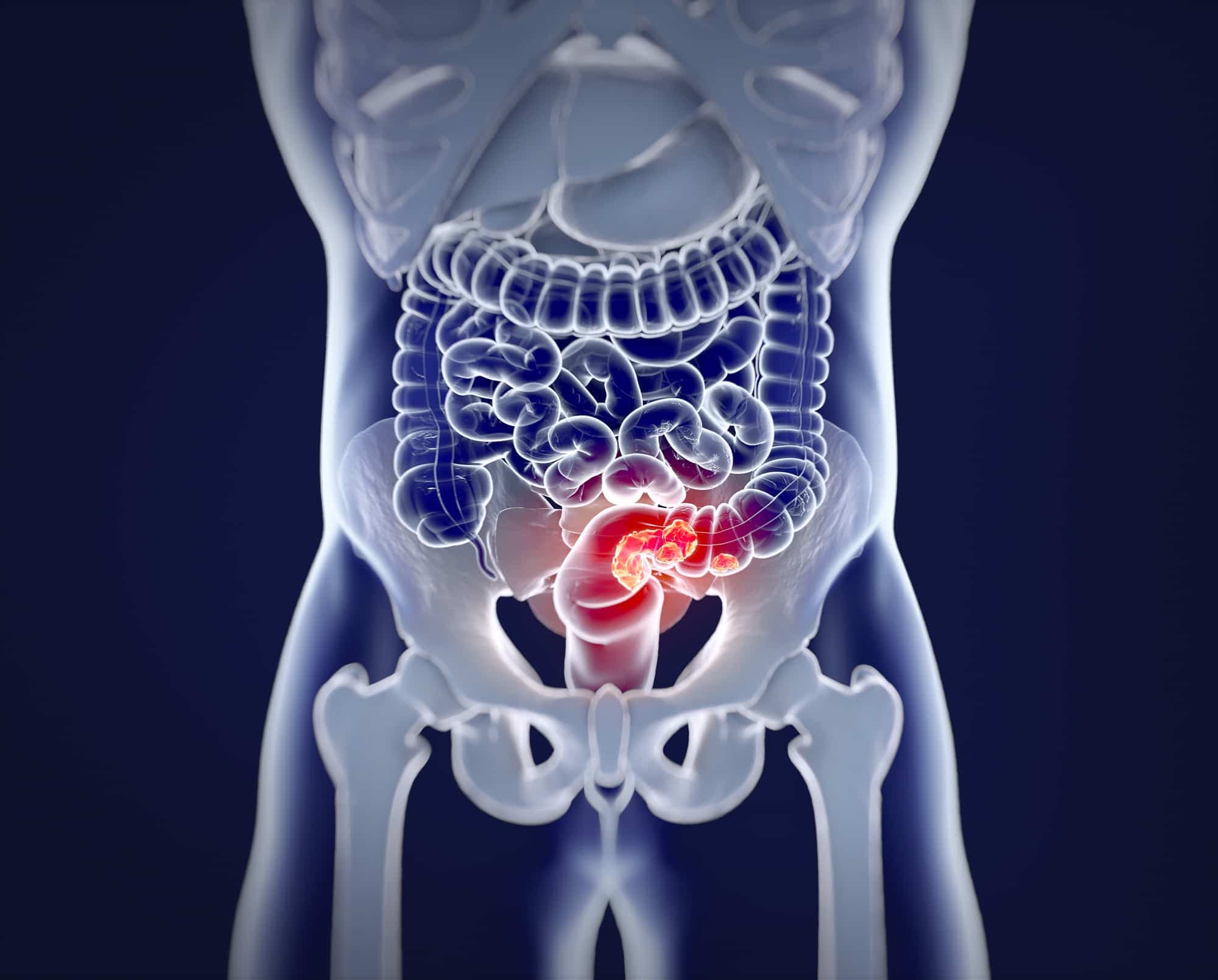 Anatomy Insider - stock.adobe.co