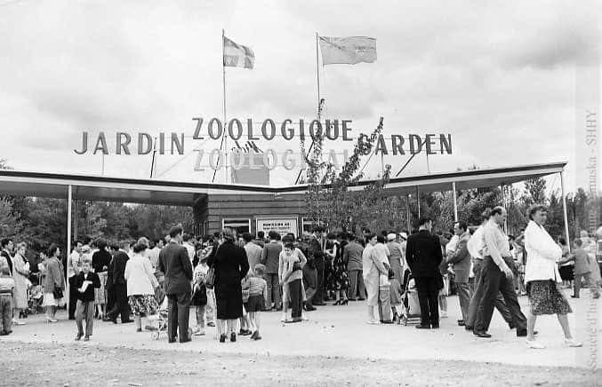 Zoo de Granby en 1955