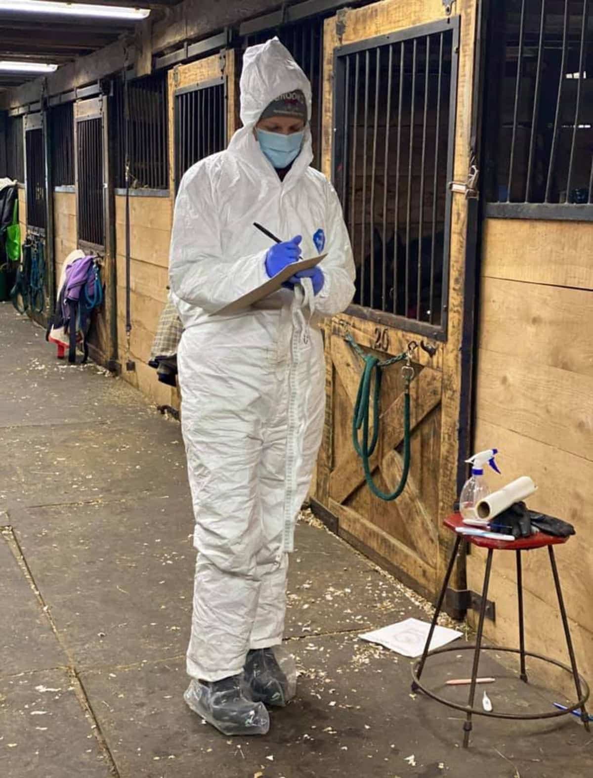 Même si le virus HVE-1 ne se transmet pas à l’humain, toutes les précautions sont prises afin d’éviter une plus grande propagation au troupeau à la ferme équestre Venturing Hills du secteur de Luskville de la municipalité de Pontiac, en Outaouais.