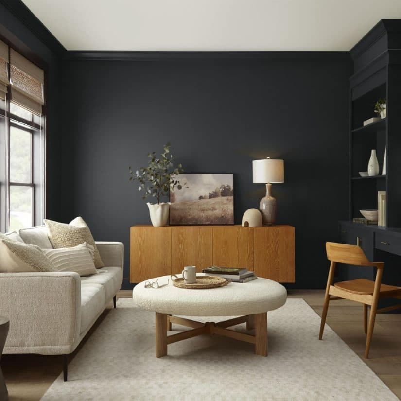 Couleur de l'année 2024 par Behr Paint Company