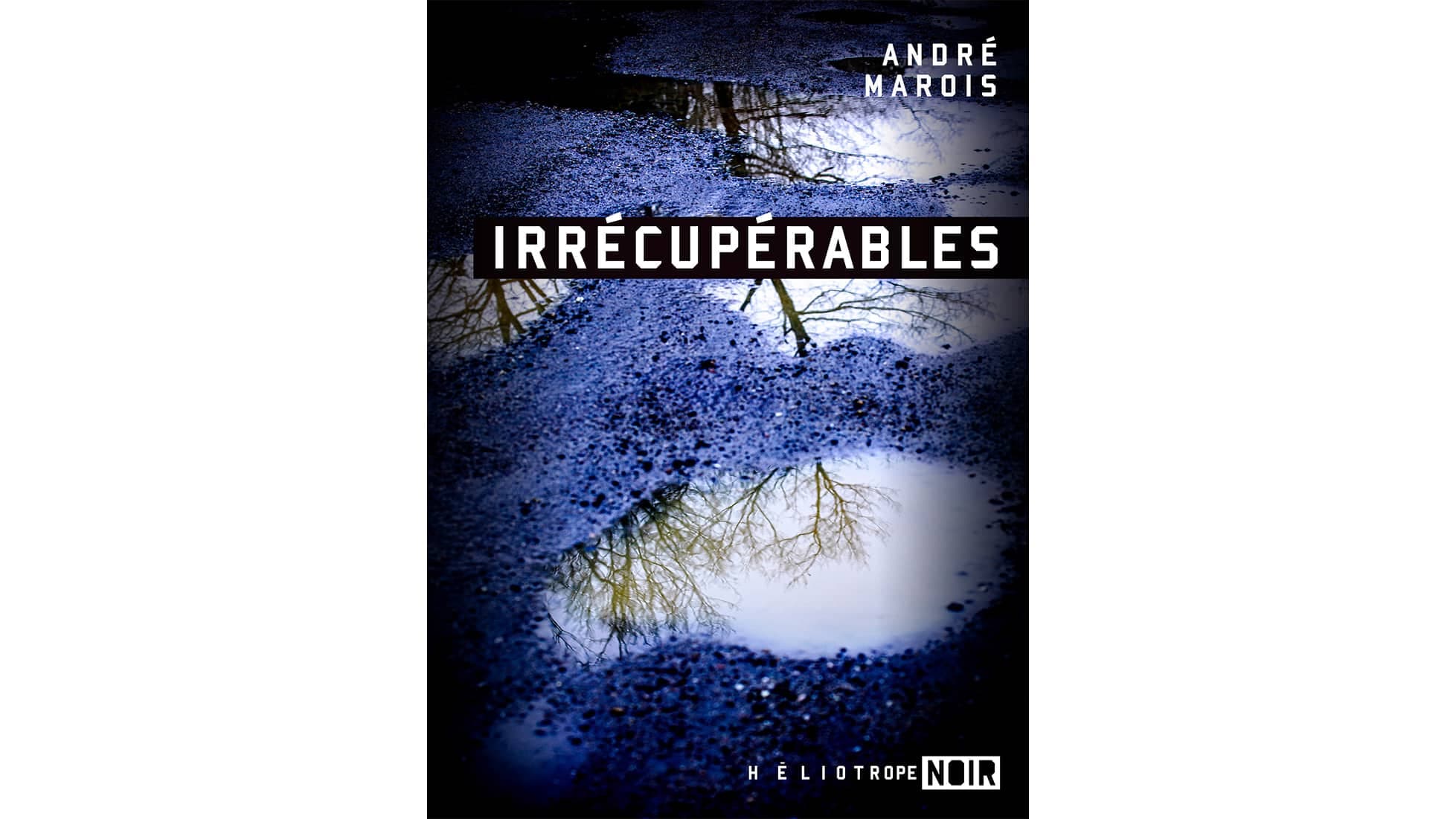 ,[object Object],
   ,[object Object],
    Éditions Héliotrope noir 
   ,[object Object],
    246 pages