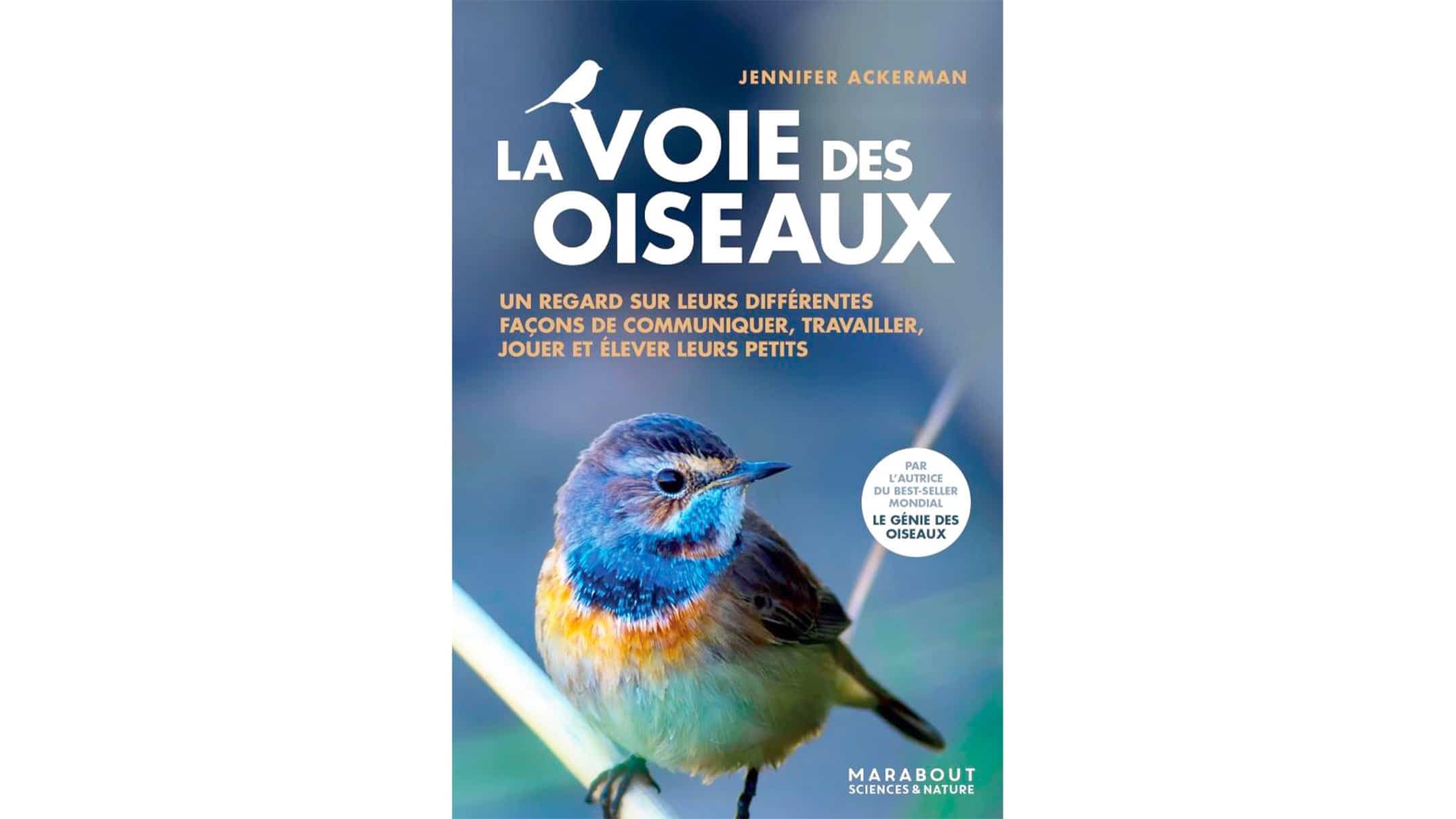 ,[object Object],
   ,[object Object],
    aux Éditions Marabout 
   ,[object Object],
    64 pages