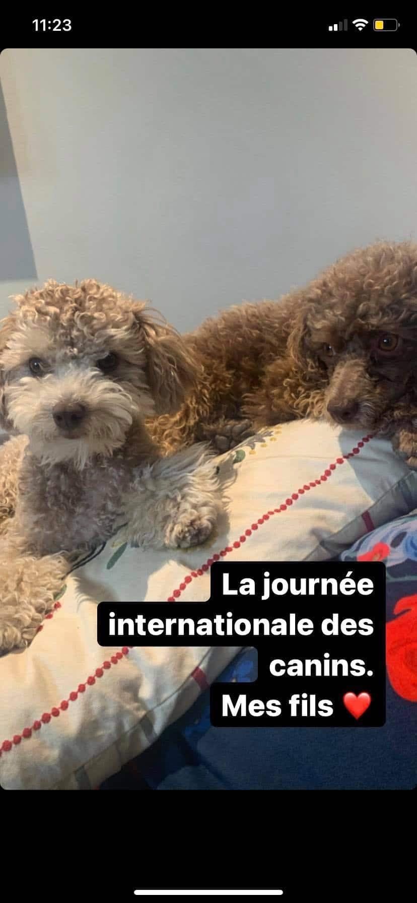 Instagram