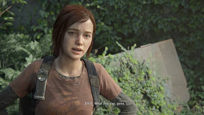Capture d'écran: Kazzie Charbonneau / Naughty Dog / Sony Interactive Entertainment