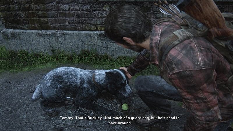 Important: on peut flatter le chien