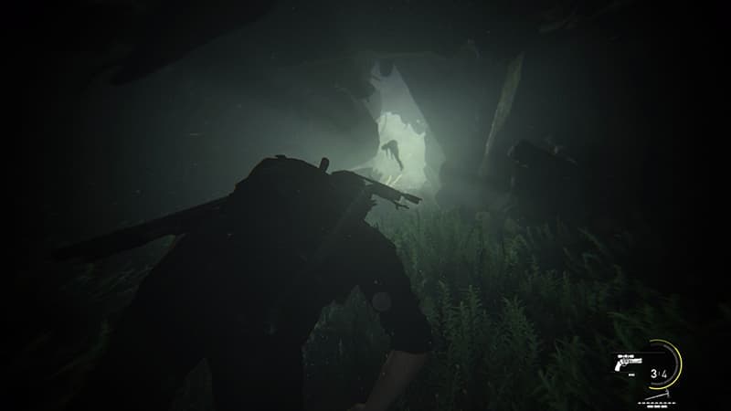 Ellie ne sait pas nager.