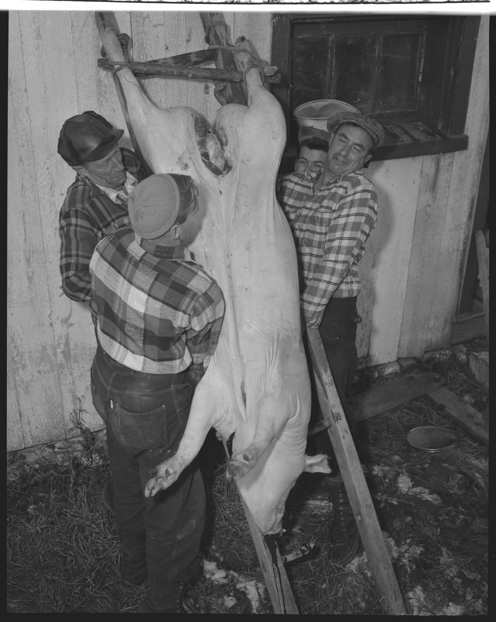 Boucherie domestique à Saint-Raymond, comté de Portneuf, 1955.