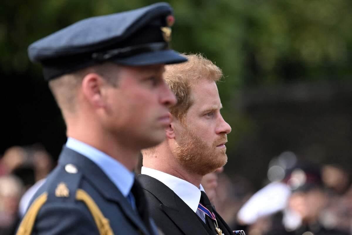 Les princes William et Harry