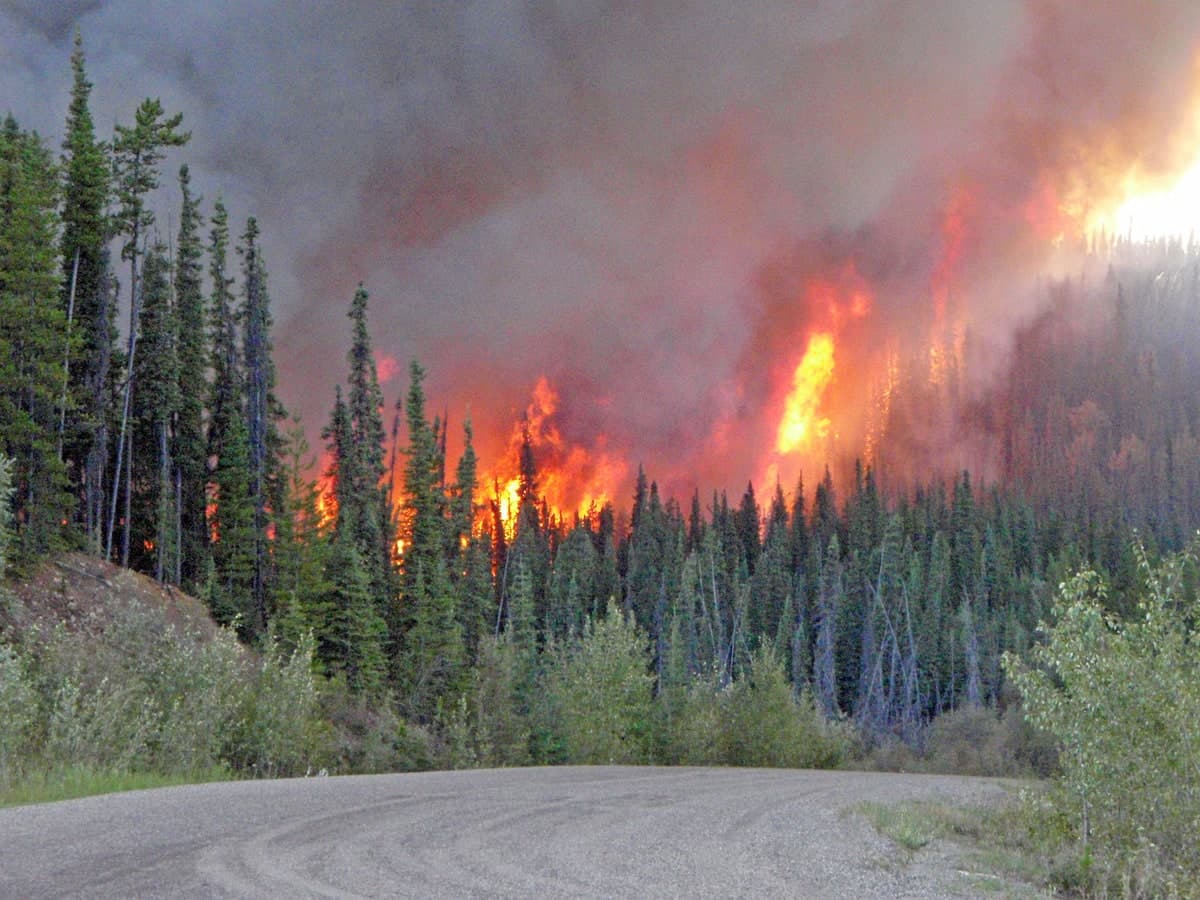 Courtoisie BC Wildfire Management Agency