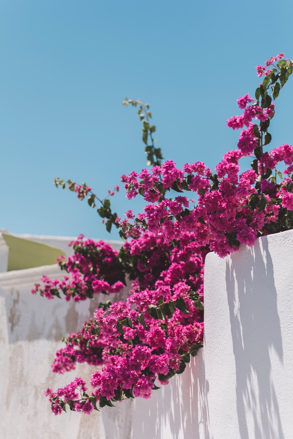 Unsplash / Raoul Croes