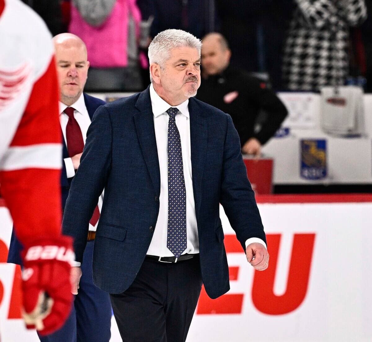 Todd McLellan, entraîneur-chef des Red Wings de Detroit