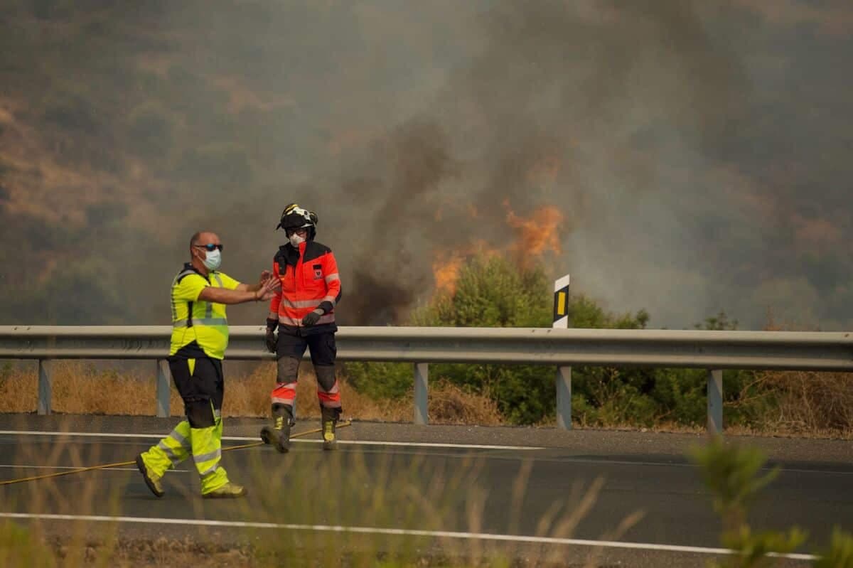 AFP