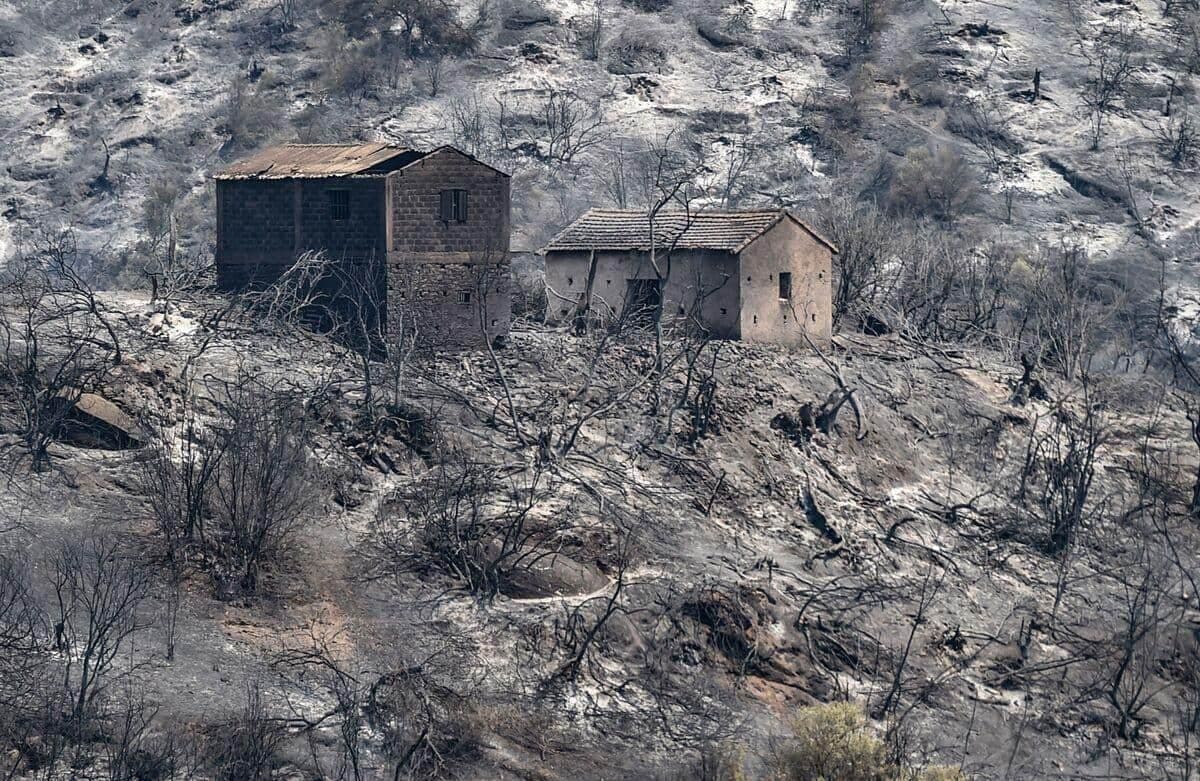 AFP