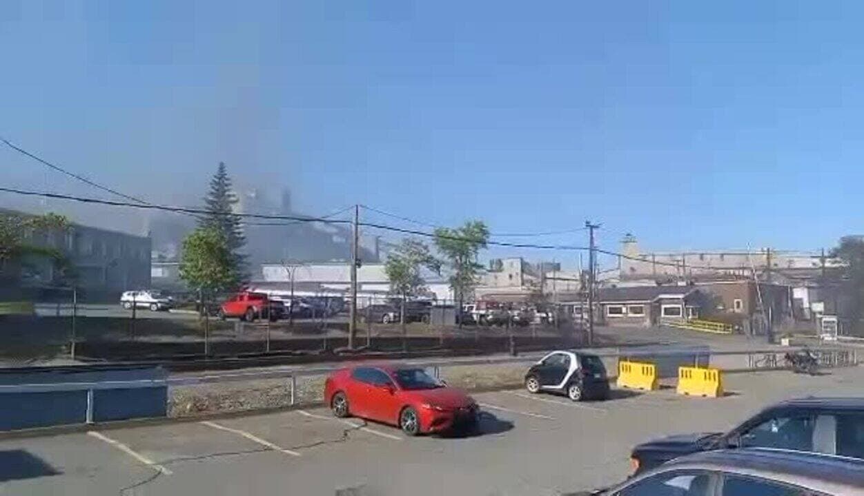 Capture d'écran, courtoisie Frank Paquette