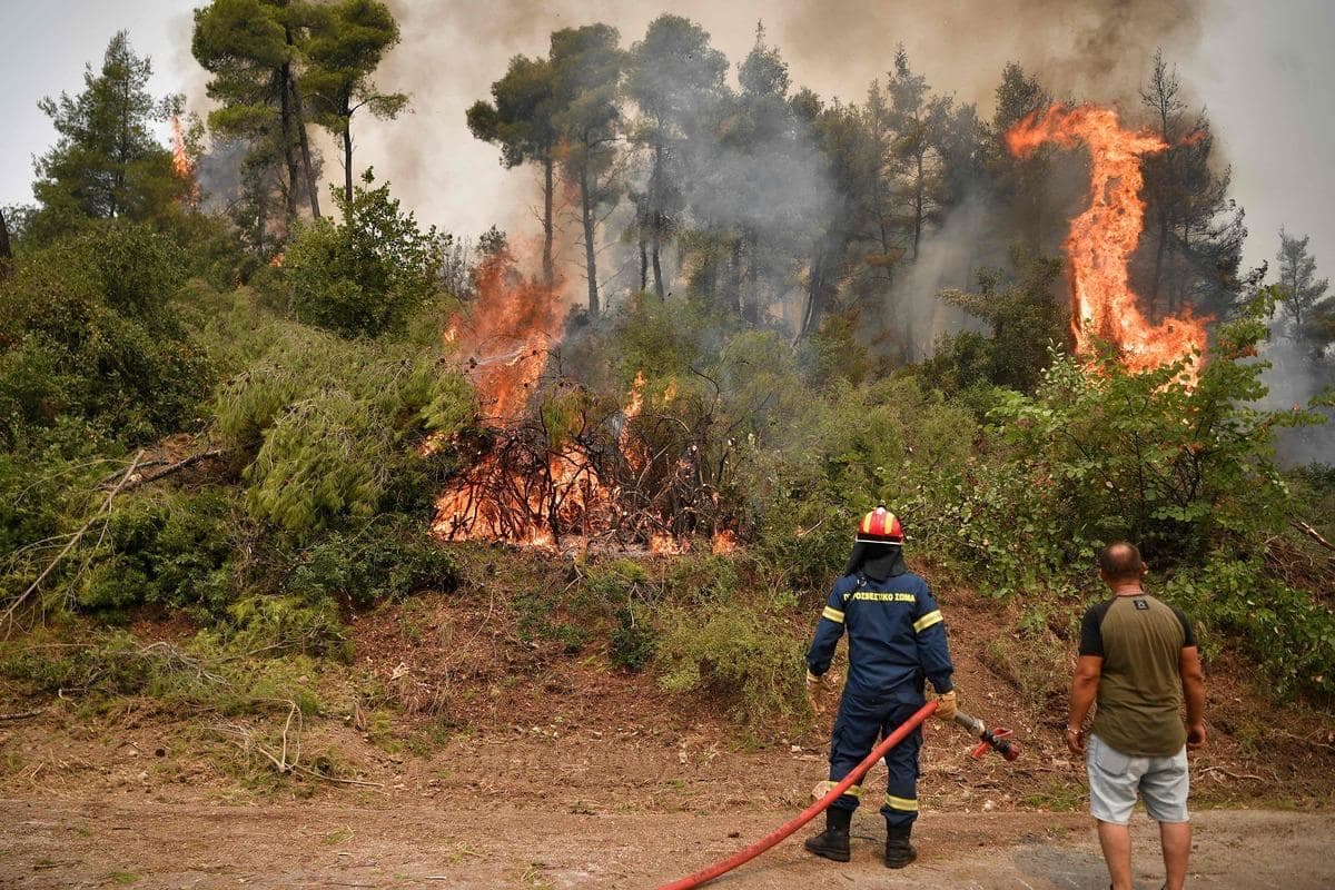 AFP