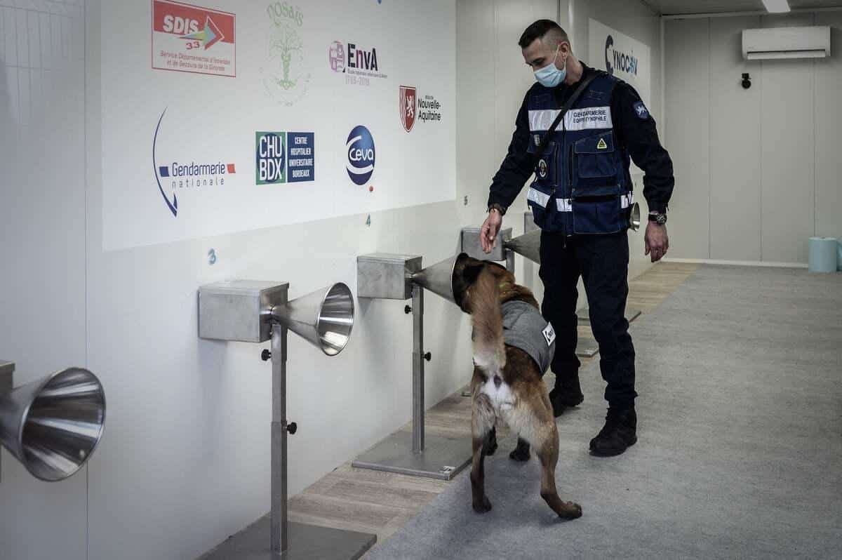 AFP