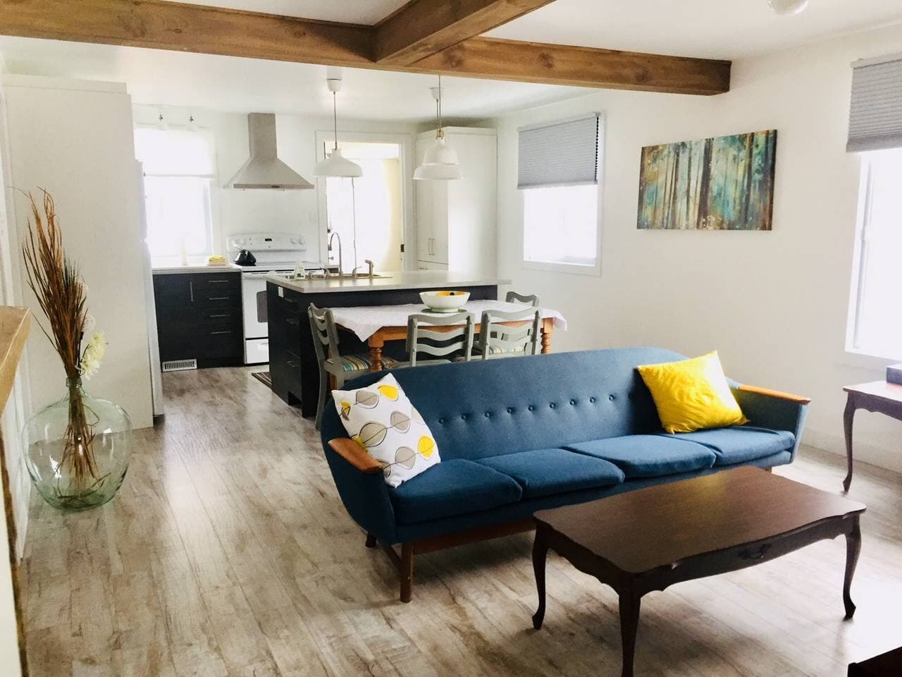 capture d'écran Airbnb