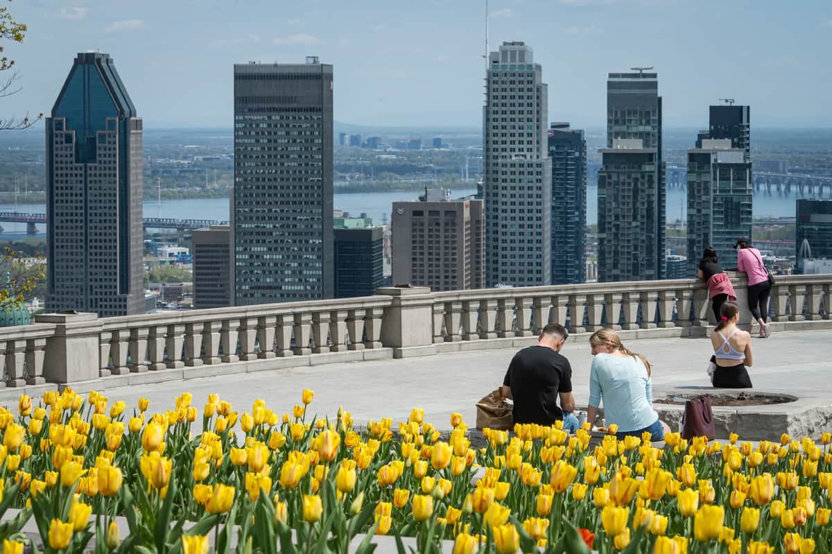 Les gens profitent du soleil et de la chaleur au Belvédère Kondiaronk du Parc du Mont-Royal lors de la troisième vague de la pandémie de COVID-19, à Montréal, jeudi le 13 mai 2021.
JOEL LEMAY/AGENCE QMI