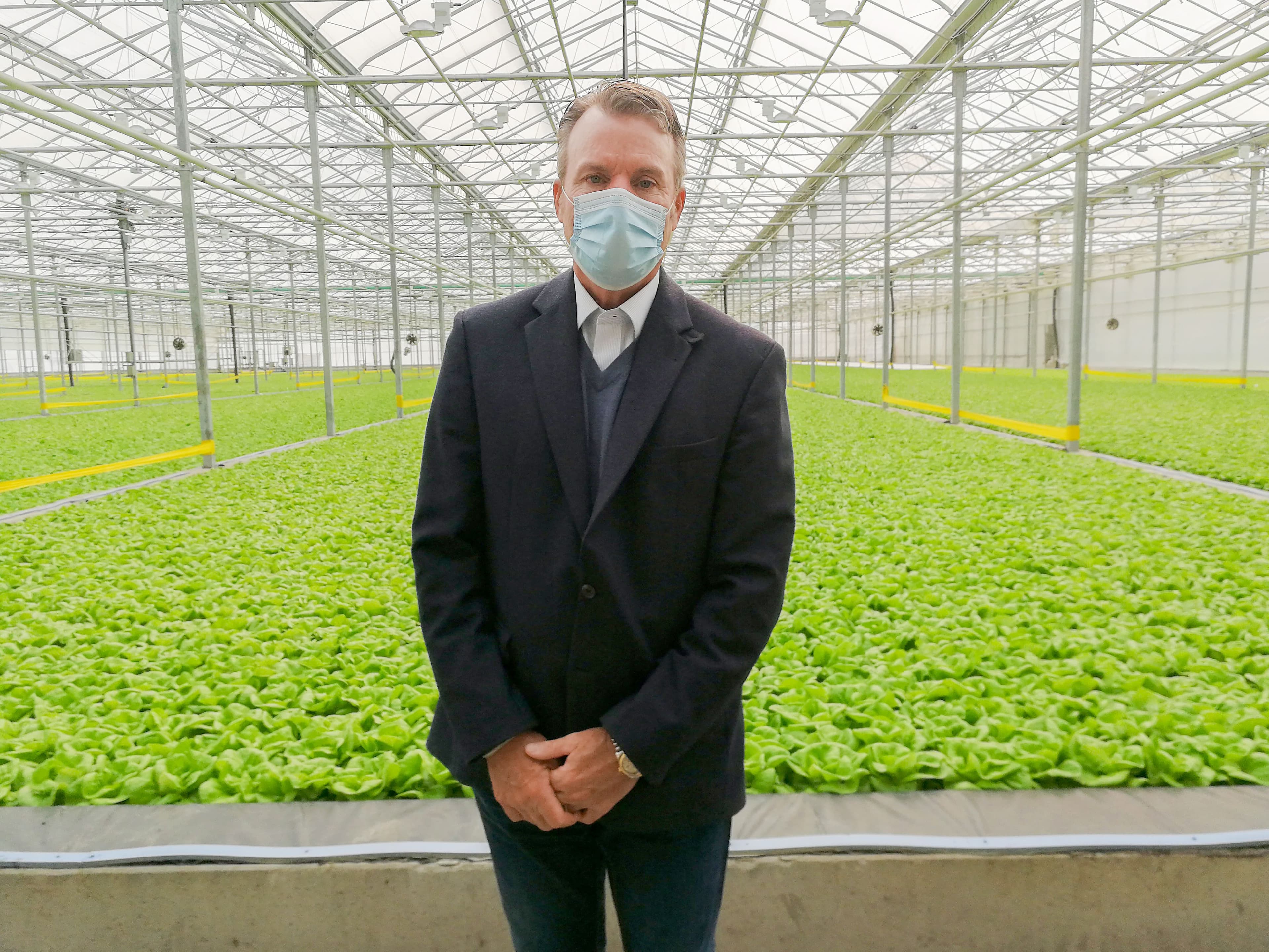 Daniel Terrault, vice-président développement des affaires, des Serres Lefort à Sainte-Clotilde-de-Châteauguay qui peuvent produire jusqu’à 720 000 têtes de laitues Mirabel par semaine au printemps et à l’automne.