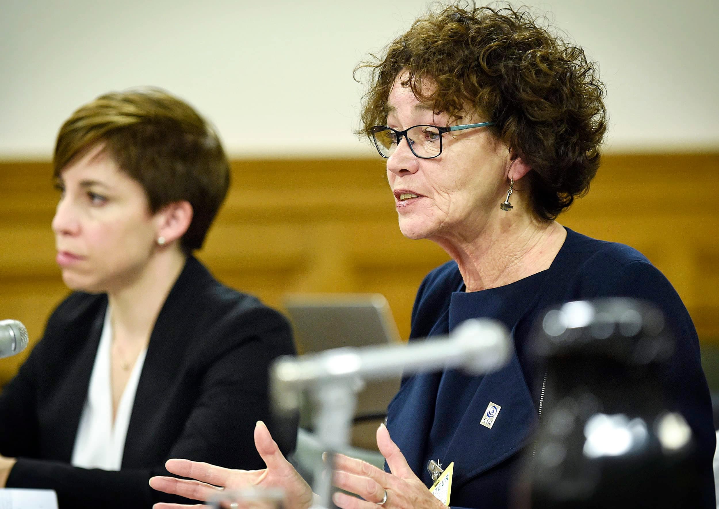 Louise Chabot. Bloc québécois, Thérèse-De Blainville