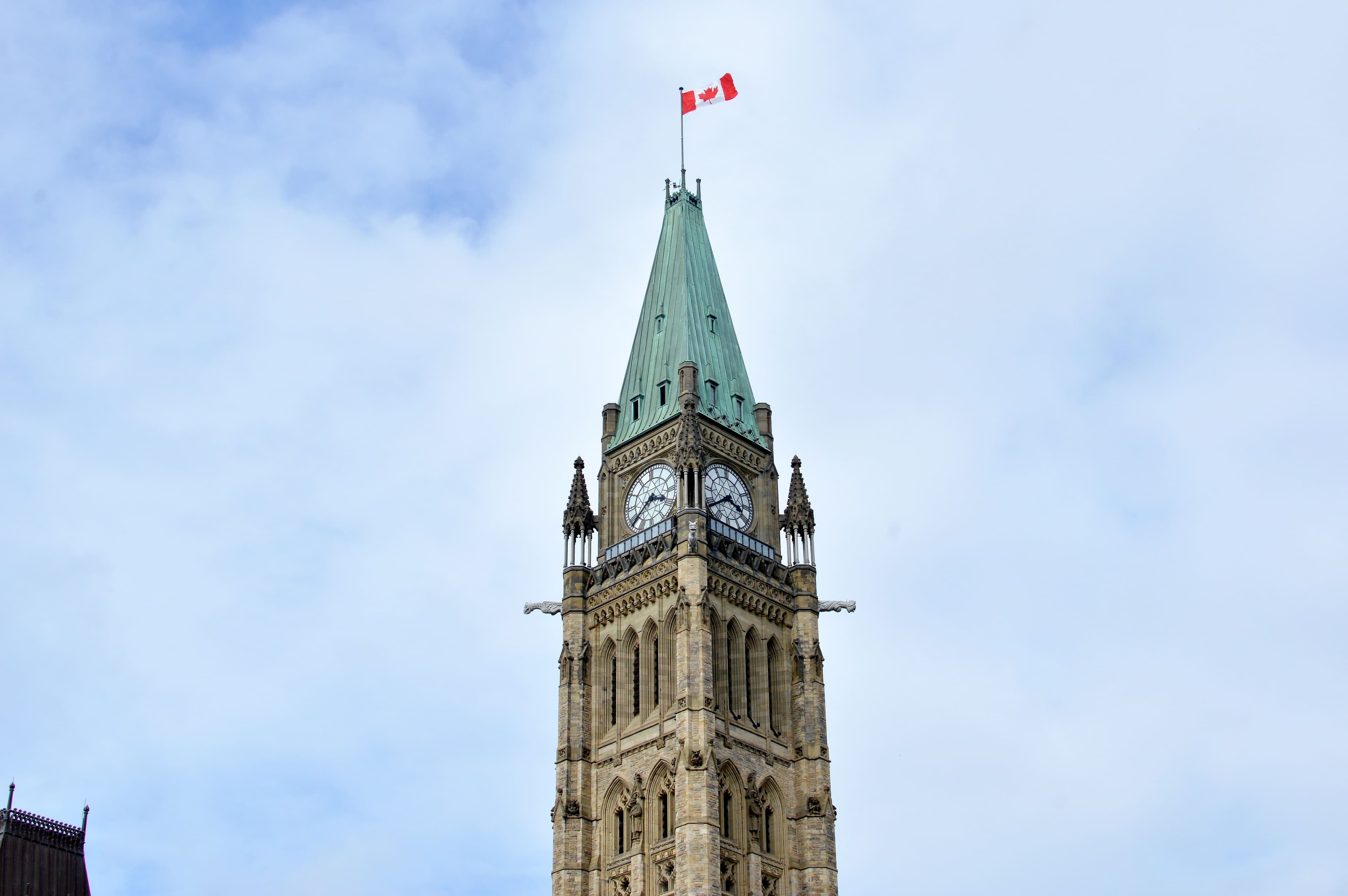 Une mise de 20 $ sur le Parti libéral du Canada de Justin Trudeau promettait de vous rapporter, hier, à 13 h, la modeste somme de 25,35 $ (5,35 $ de plus que votre mise), chez SportsInteraction. À l’autre extrémité du spectre, un audacieux pari gagnant de 20 $ sur le Parti populaire du Canada de Maxime Bernier rapporterait la rondelette somme de 8720 $.
