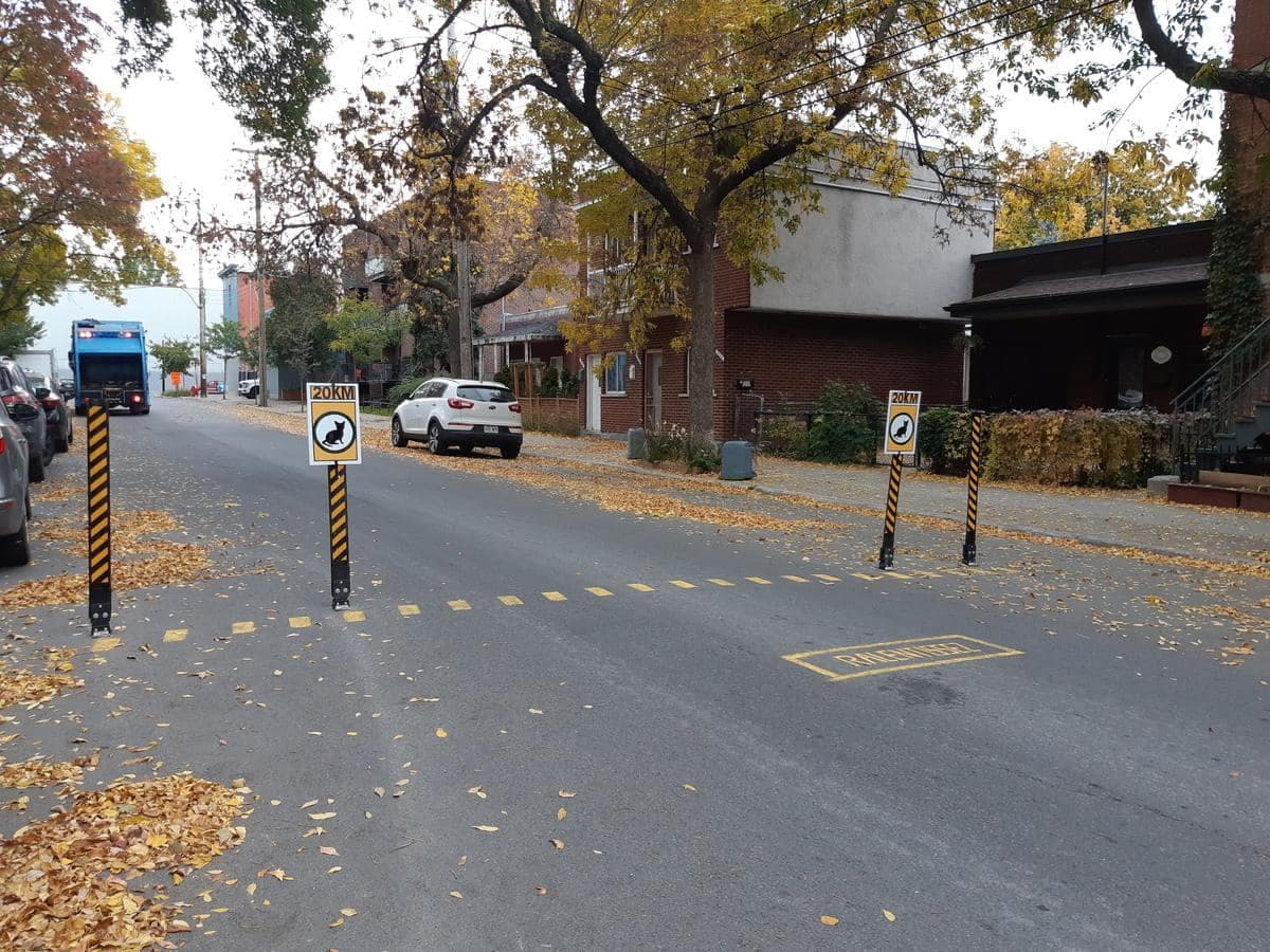 Les chats en balade sur la rue Wurtele, dans l’arrondissement Ville-Marie à Montréal lundi le 28 septembre 2020, bénéficient d’une traverse piétonne de fortune qui invite les automobilistes à ralentir afin de ne pas troubler leur promenade. BÉATRICE ROY-BRUNET/24 HEURES/AGENCE QMI