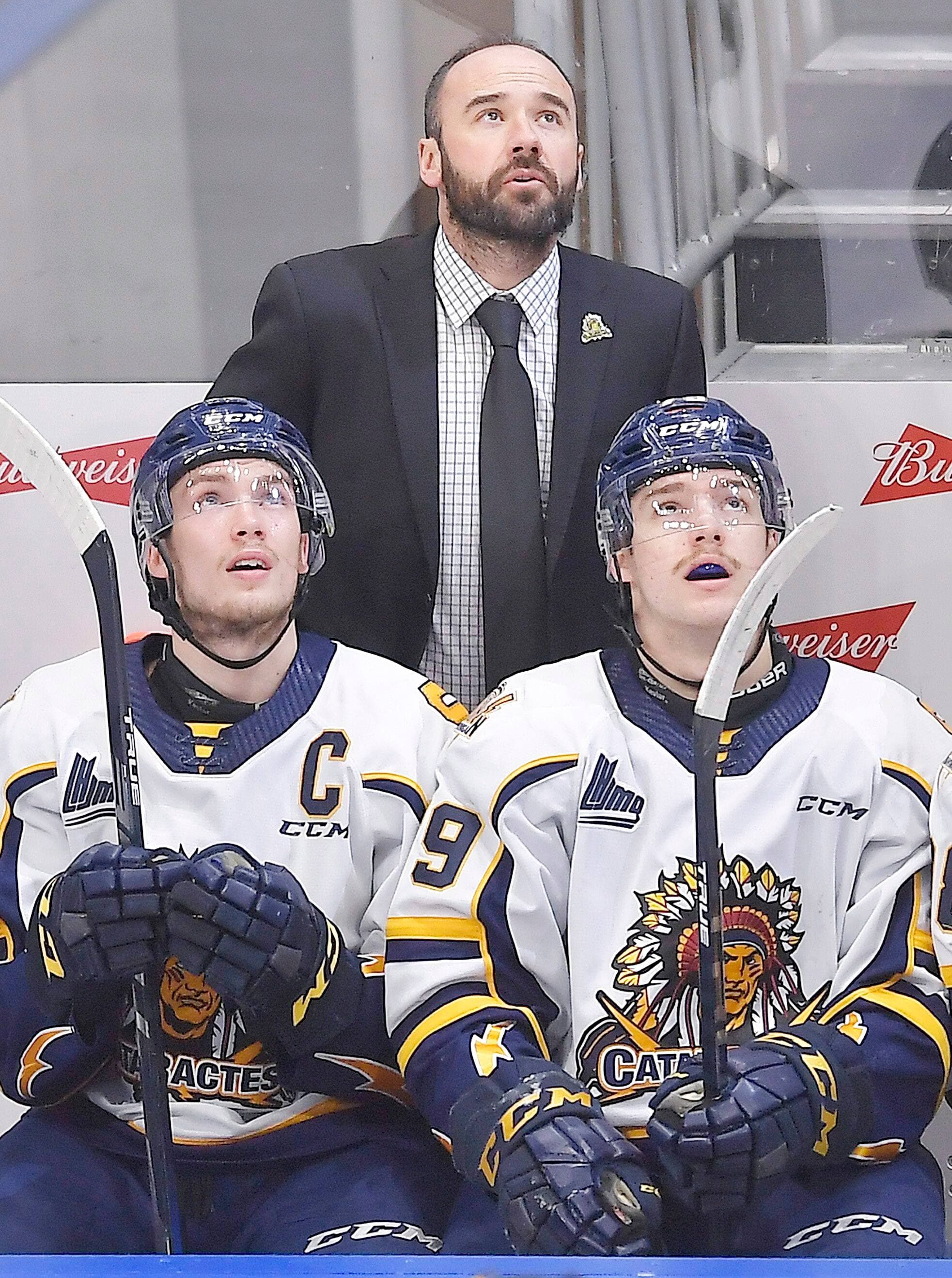Daniel Renaud, Entraîneur-chef des Cataractes