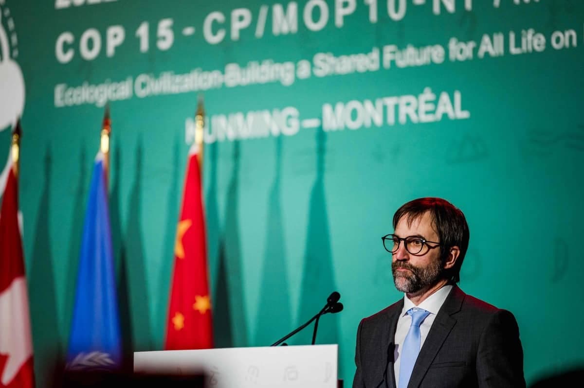 AFP