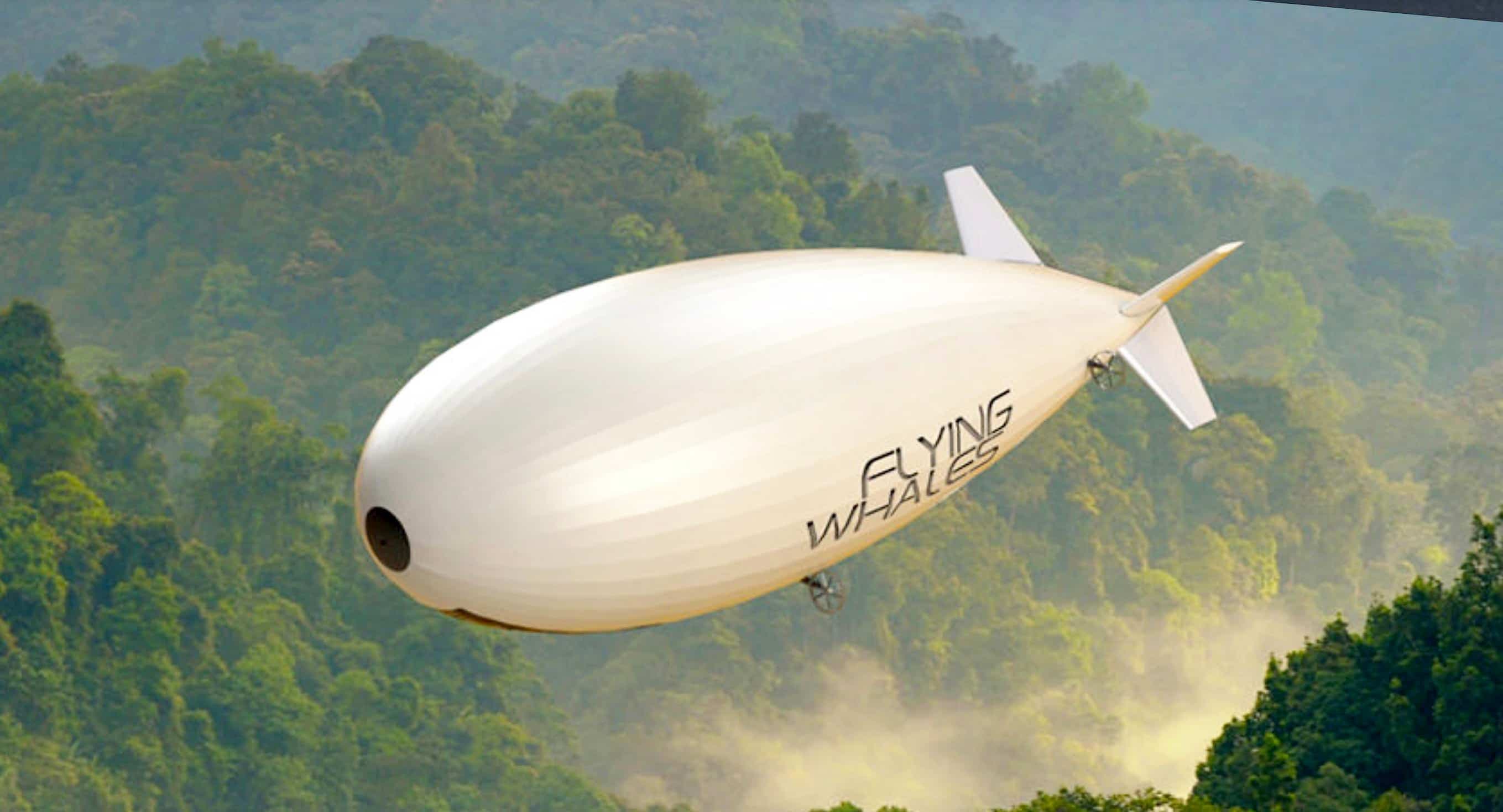 Actionnaire de l’entreprise Flying Whales, le gouvernement du Québec sera incapable d’ouvrir une filiale québécoise.