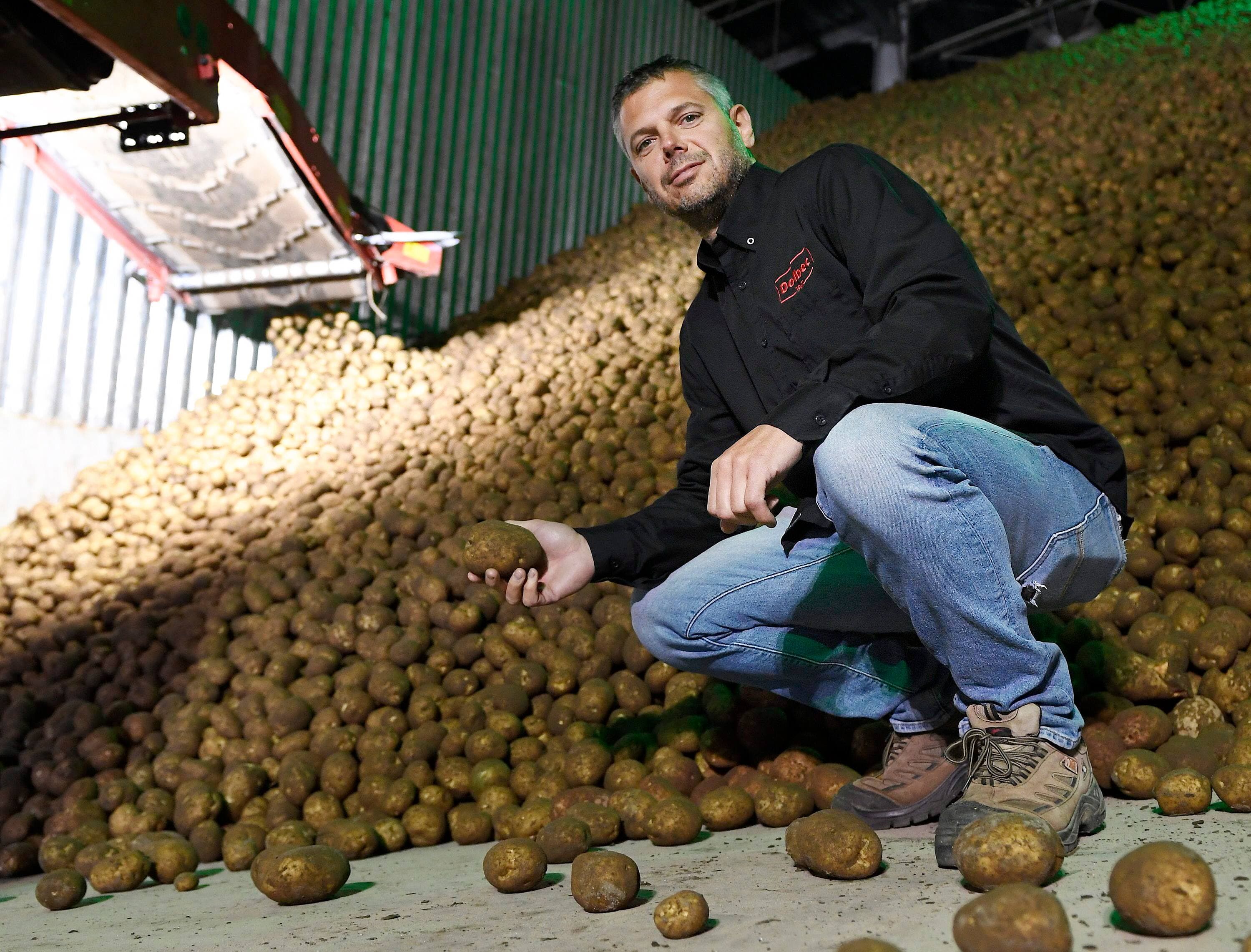 L’entreprise Patates Dolbec, située à Portneuf, peut conserver ses patates durant 12 mois grâce à des entrepôts réfrigérés où l’atmosphère est contrôlée.