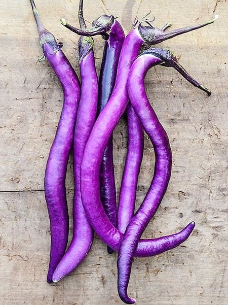 Photo courtoisie, Baker Chreek Heirloom Seeds