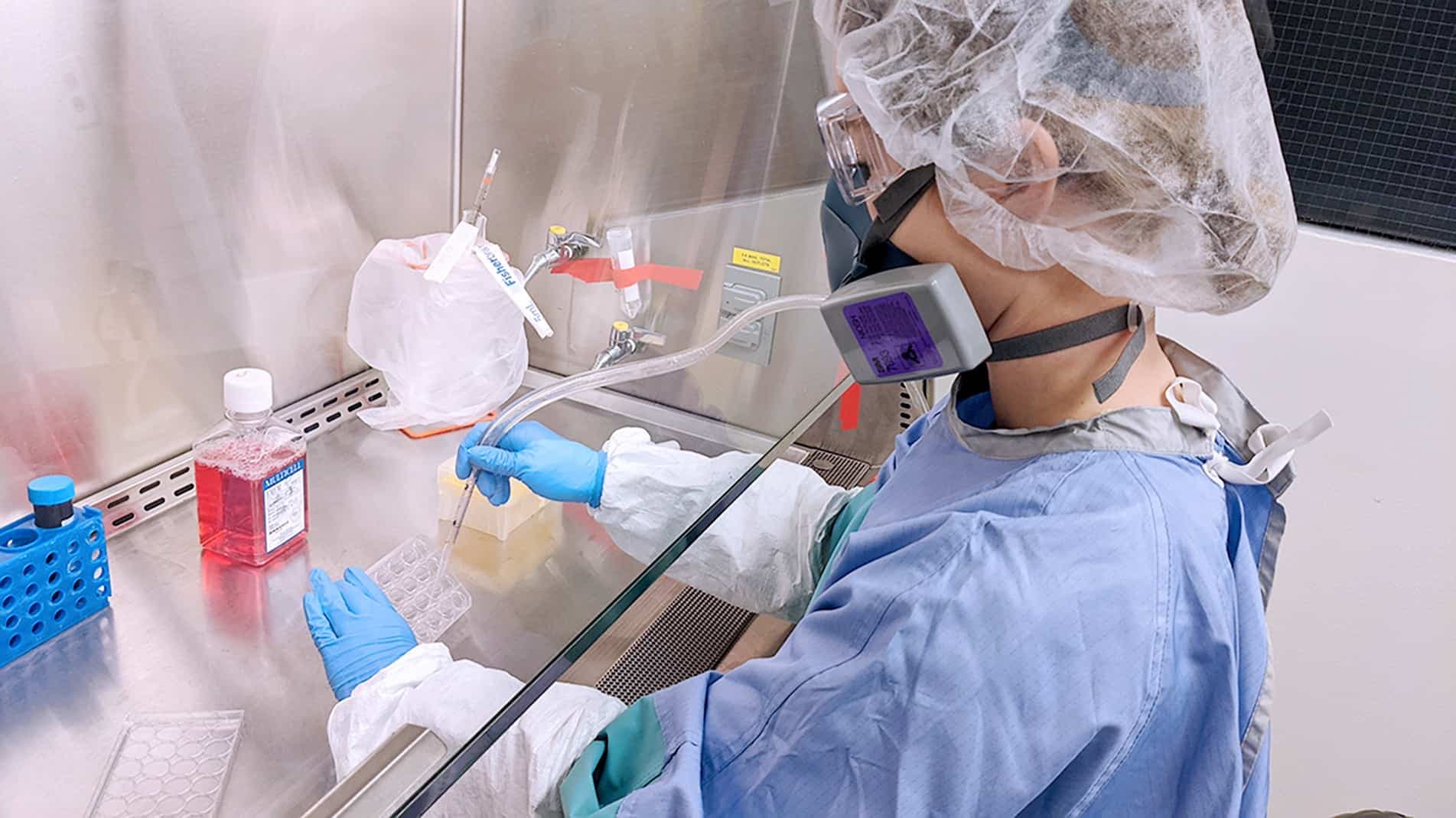 Vêtue de son attirail de protection, Anaïs Anton, une des superviseuses du laboratoire de Laval, prélève du liquide qui servira de milieu de culture pour les cellules infectées.