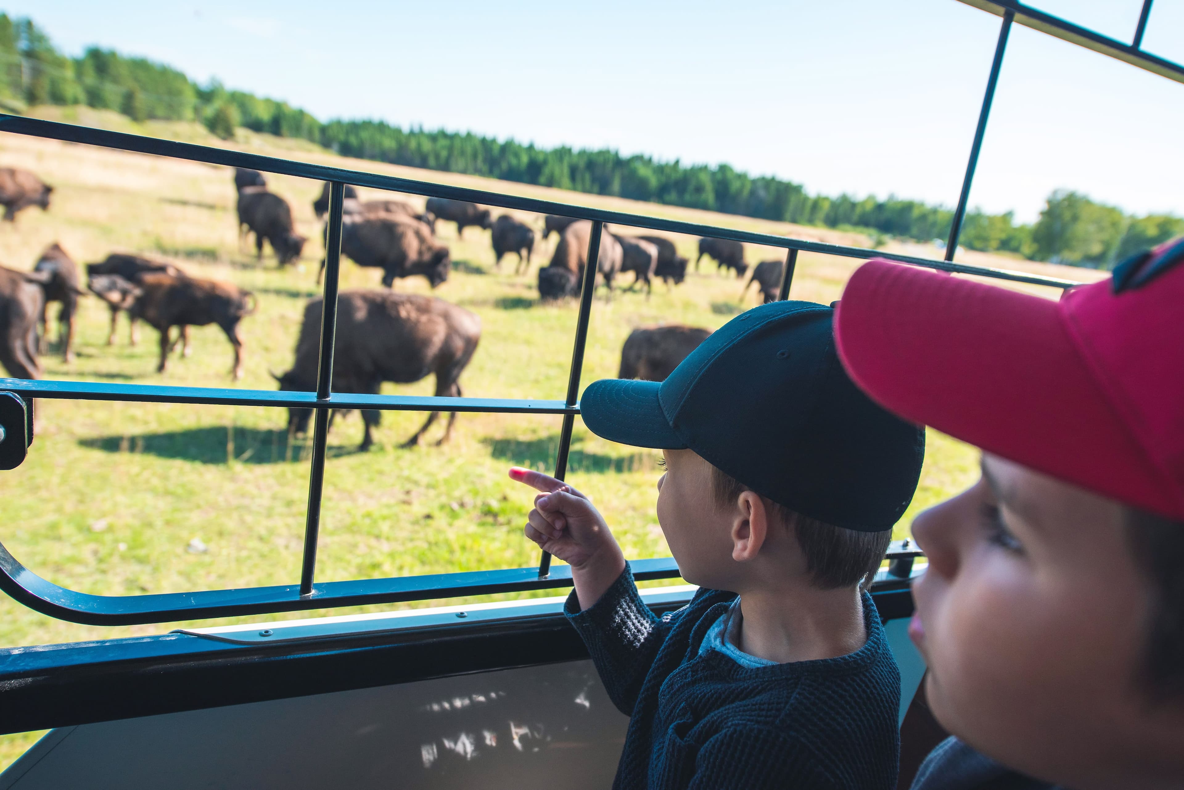 Jeunes et moins jeunes qui viendront voir les célèbres ours polaires et autres animaux devraient profiter d’une meilleure expérience en raison des nombreux travaux effectués depuis l’automne dernier.