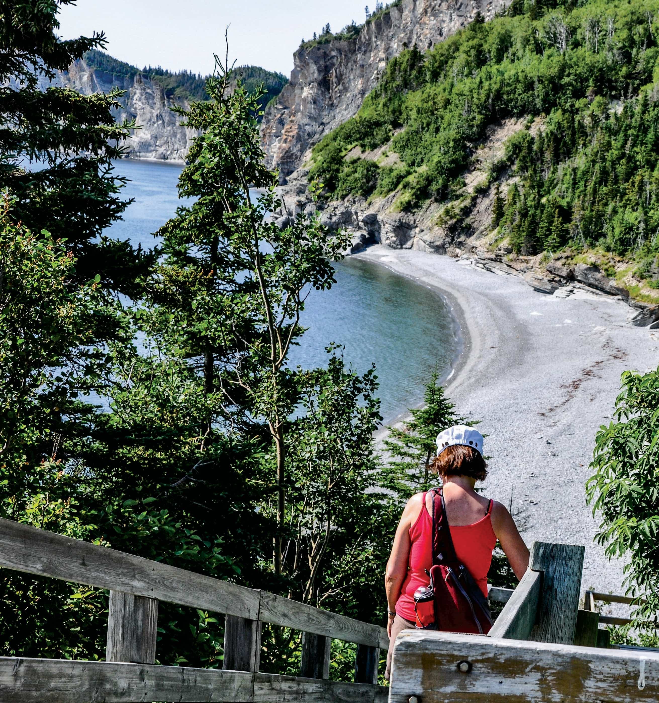 Le parc national Forillon demeure un incontournable pour les touristes en Gaspésie.