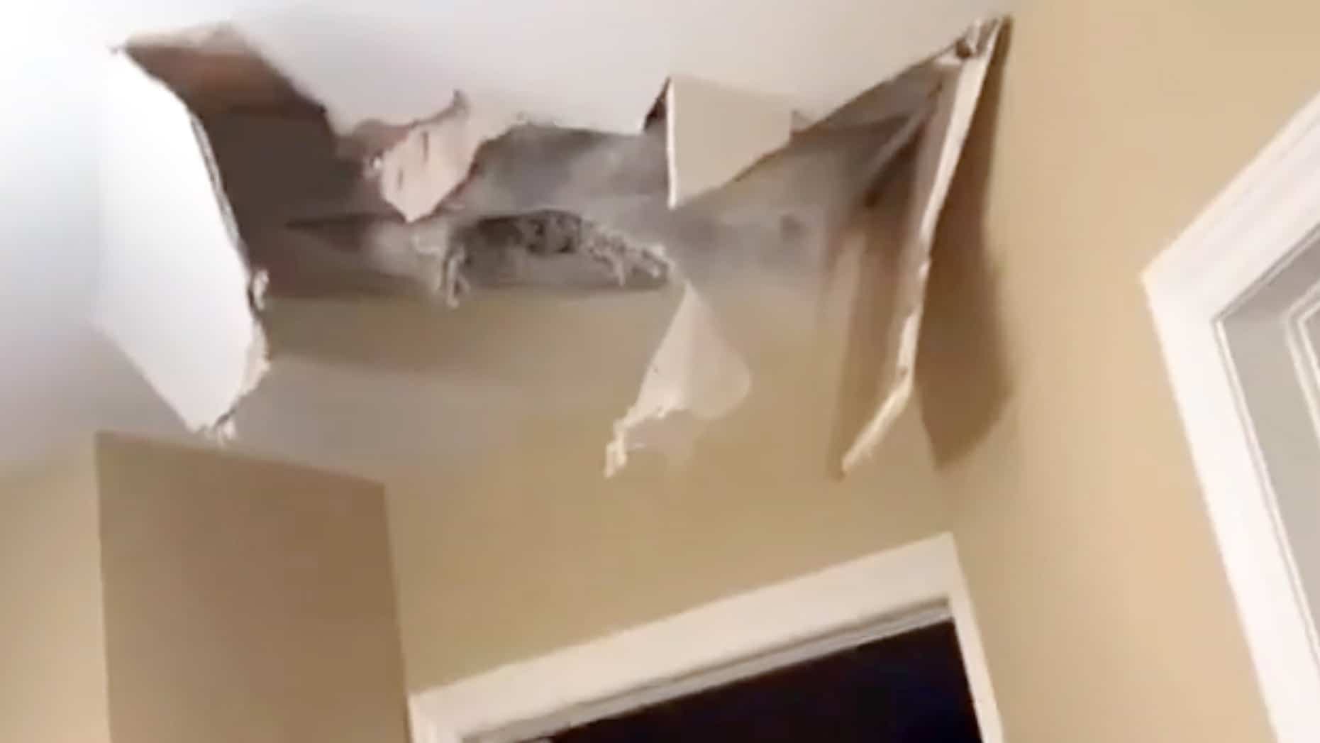 Un des trous causés dans le plafond du chalet.