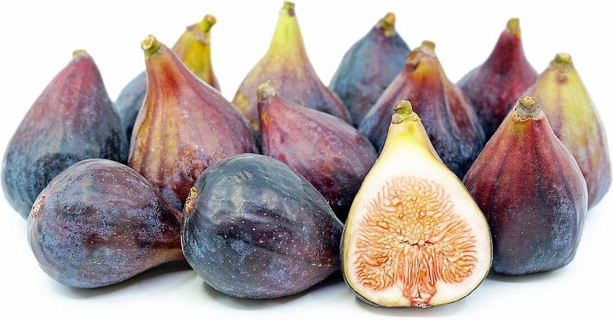Figues Black Mission