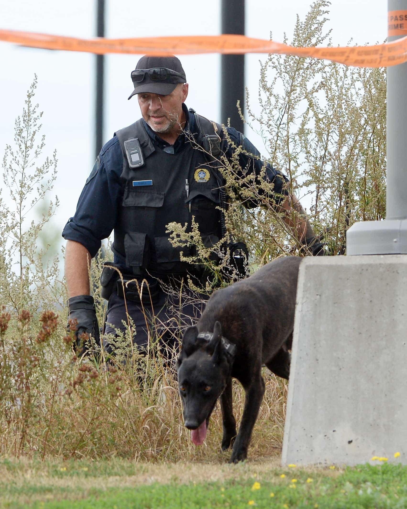Un maître-chien a fait des recherches dans des buissons, non loin du Centre universitaire de santé McGill.