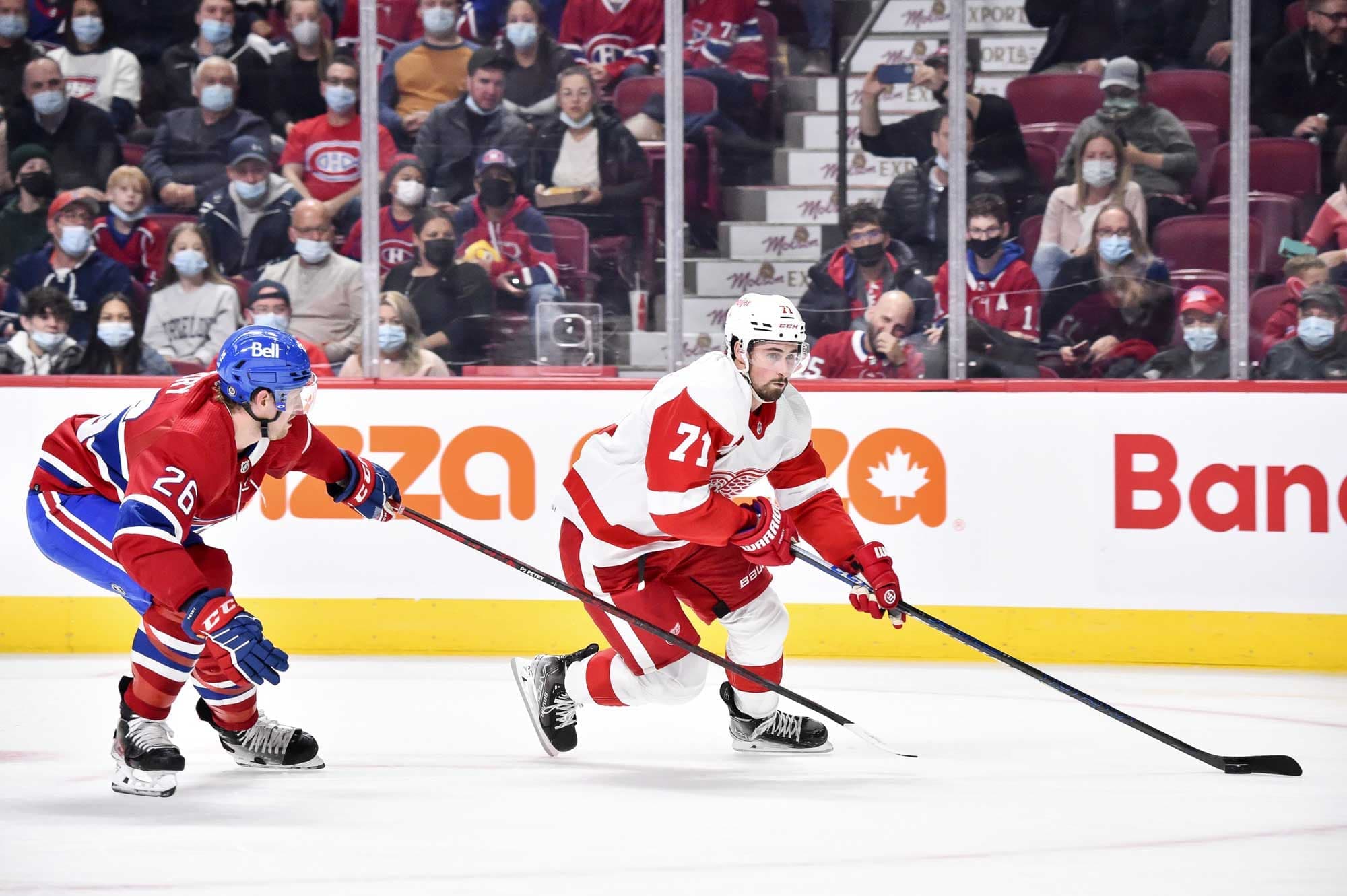 Dylan Larkin, des Red Wings, était pourchassé par Jeff Petry quand il est entré en collision avec le gardien Jake Allen, le 13 novembre.