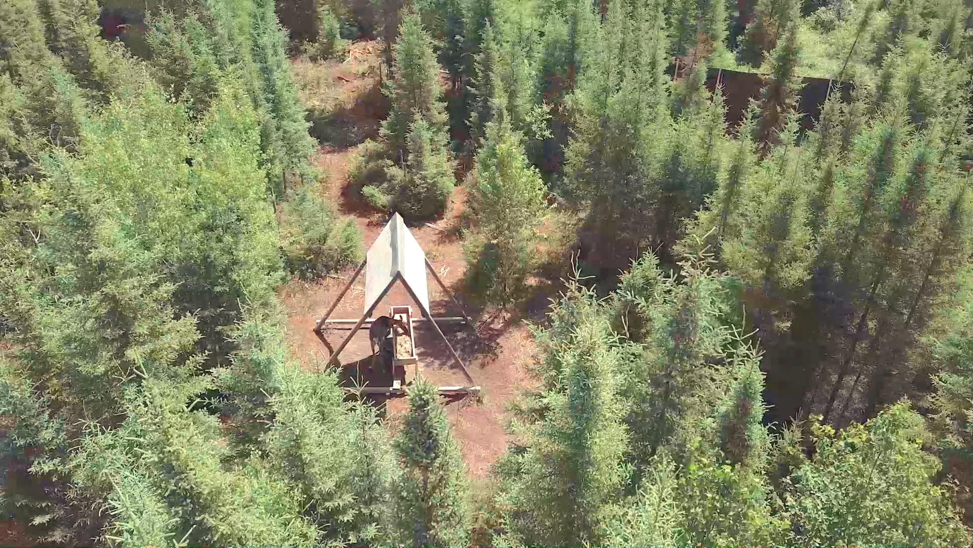 Le Journal publiait samedi dernier un reportage de notre Bureau d’enquête, qui a obtenu des images de l’enclos où se trouvent les sept survivants de Val-d’Or.